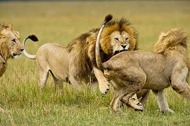 经典《TAITO精选集》复刻登陆Switch 收入10部名作