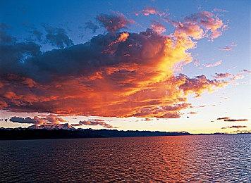 《索尼克冲刺》全球下载次数已超5亿次 游戏特殊活动开启