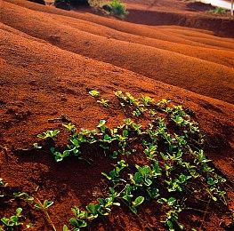 微软收购动视案在美国胜诉！